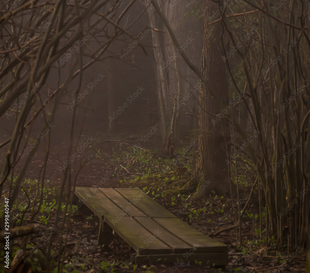 Fototapeta premium small bridge in the woods at dawn with fog 