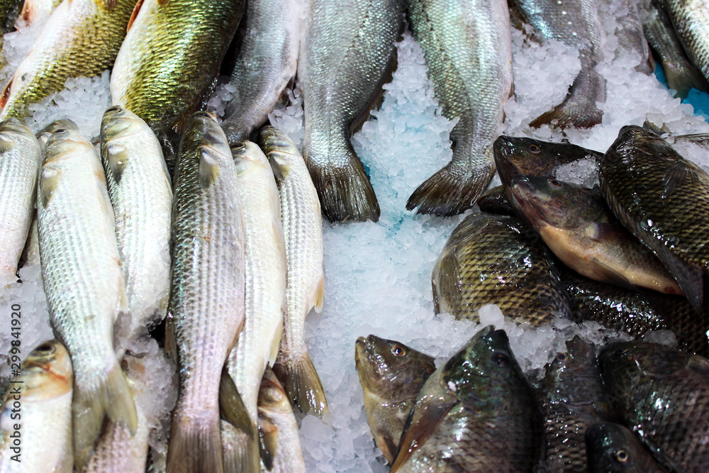 Different fish in the market on ice. A lot of fish to choose from. Jerusalem. Israel. Different fish in the market on ice. A lot of fish to choose from. Jerusalem. Israel.