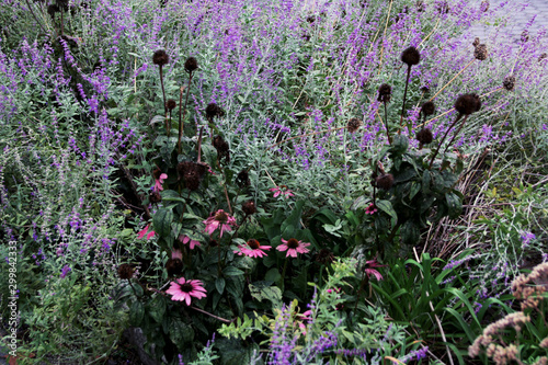 Flowers in Battery Park in Manhattan in New York photo