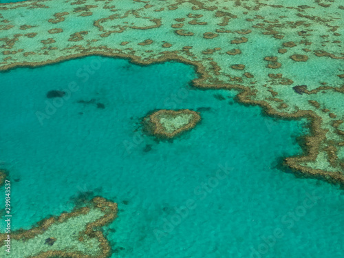 Fototapeta Naklejka Na Ścianę i Meble -  herz im Ozean great barrier reef