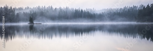 Obraz na płótnie Panoramiczny ujęcie morskiego odbicia drzew na brzegu z mglistym tłem