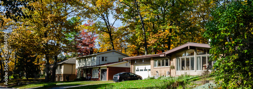 Panorama of a suburban street with tall trees in the fall