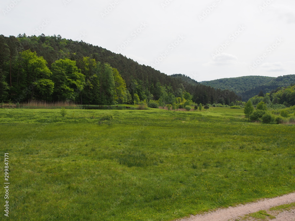Landschaften – Fischbach bei Dahn – Ortsgemeinde in Rheinland-Pfalz