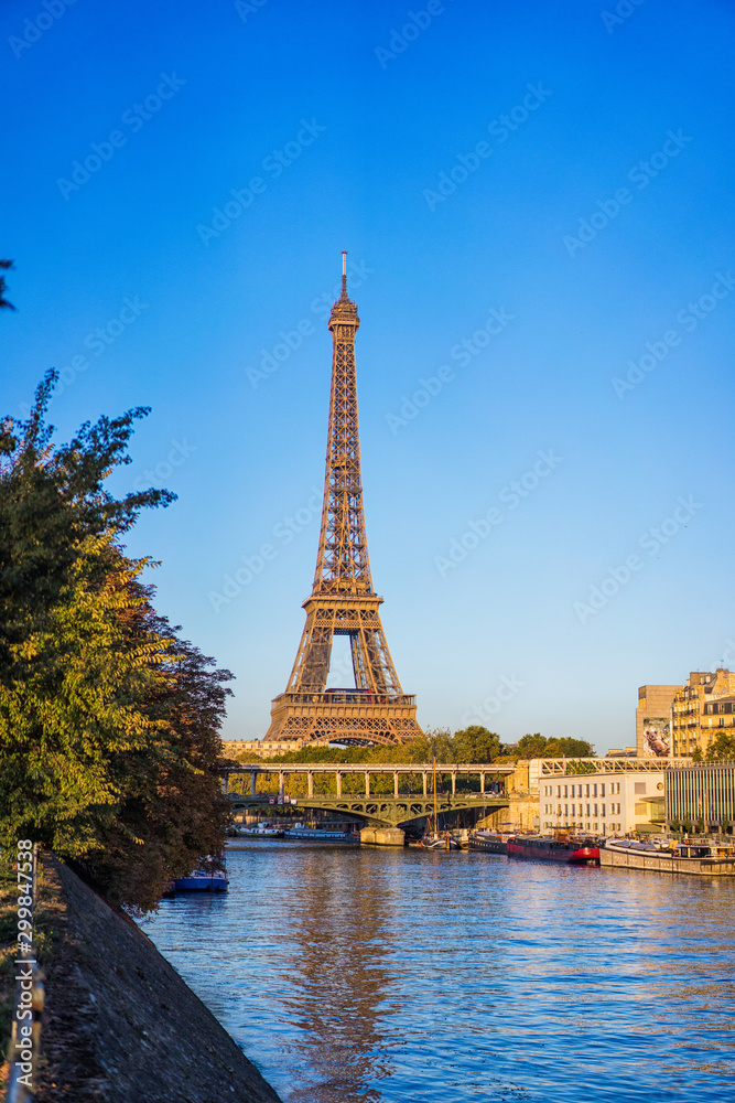 Fototapeta premium View from iles aux cygnes of Eiffel tower in autumn time