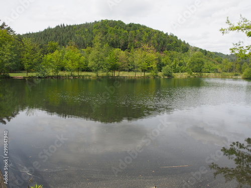 Landschaften – Fischbach bei Dahn – Ortsgemeinde in Rheinland-Pfalz photo