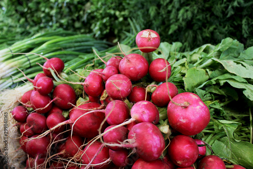 Quadro em tela Radish with herbs to the markets of Israel in Tel Aviv
