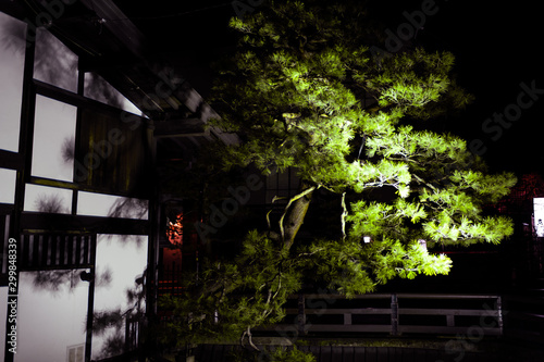Takayama, Japan building by Enako river in Gifu prefecture in Japan with traditional village with illuminated green tree at night © Andriy Blokhin