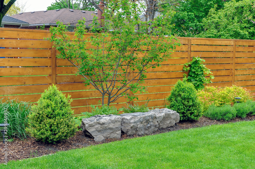 Φωτογραφία An Asian inspired and beautifully maintained garden features rockery and minimalist style cedar fencing