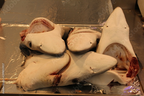 Shark heads on the local fish market counter. photo