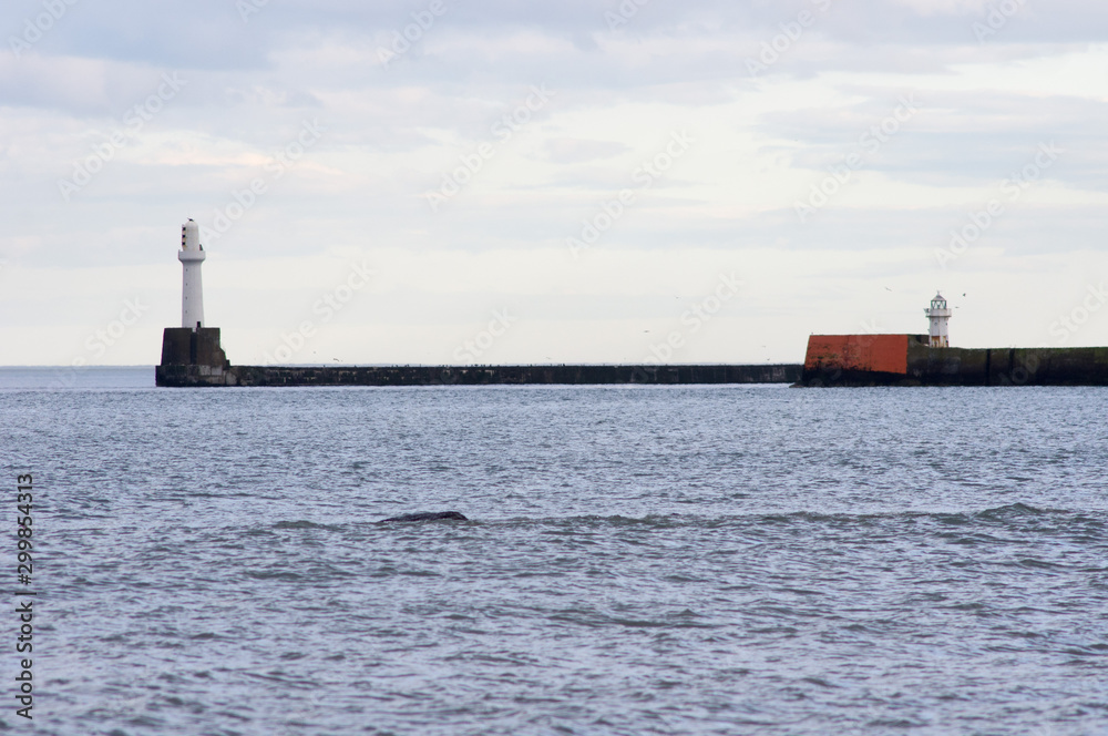 Fototapeta premium Port d'Aberdeen