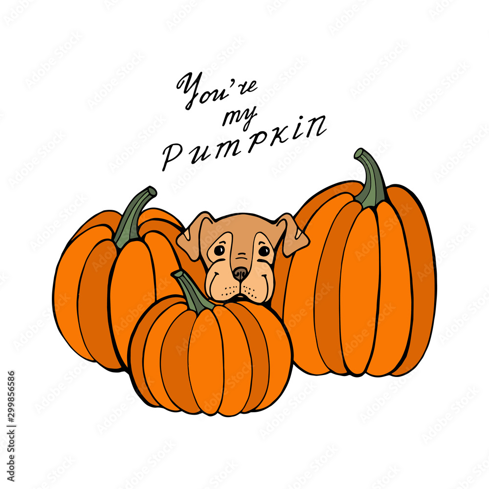 Dog and pumpkin. Autumn time. Vector hand draw illustration. Template for a card or poster. Dog and pumpkin. Autumn time. Vector hand draw illustration. Template for a card or poster.