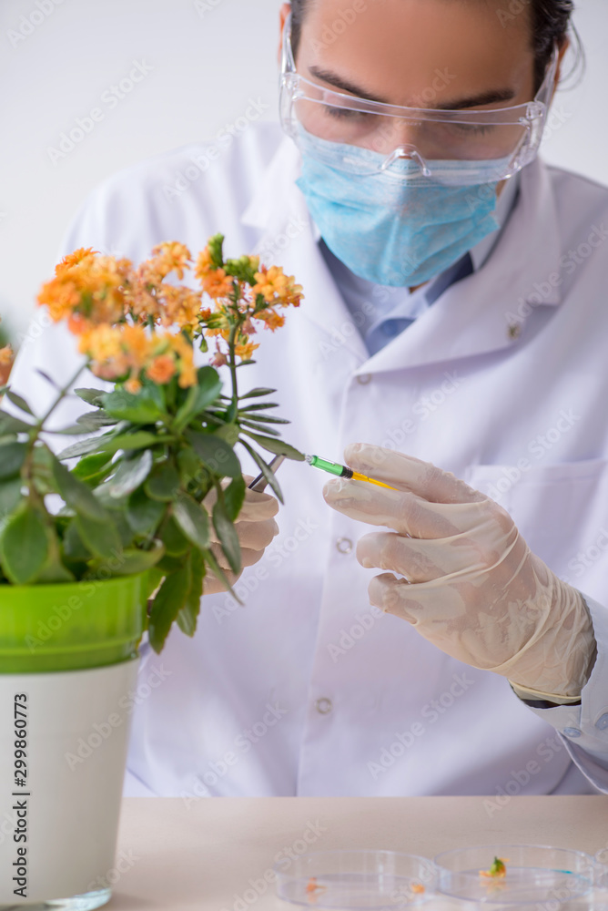 Young male chemist working in the lab Young male chemist working in the lab
