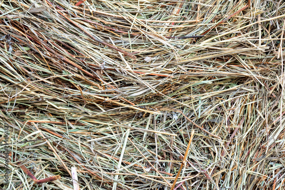 Texture hay background close-up with copy space. Dry grass in haystack. Natural background for design. Concept harvest. Food for animal. Texture hay background close-up with copy space. Dry grass in haystack. Natural background for design. Concept harvest. Food for animal.