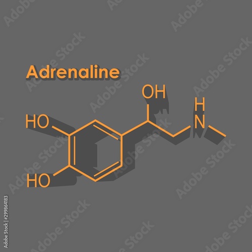 Chemical molecular formula hormone adrenaline. Infographics illustration.