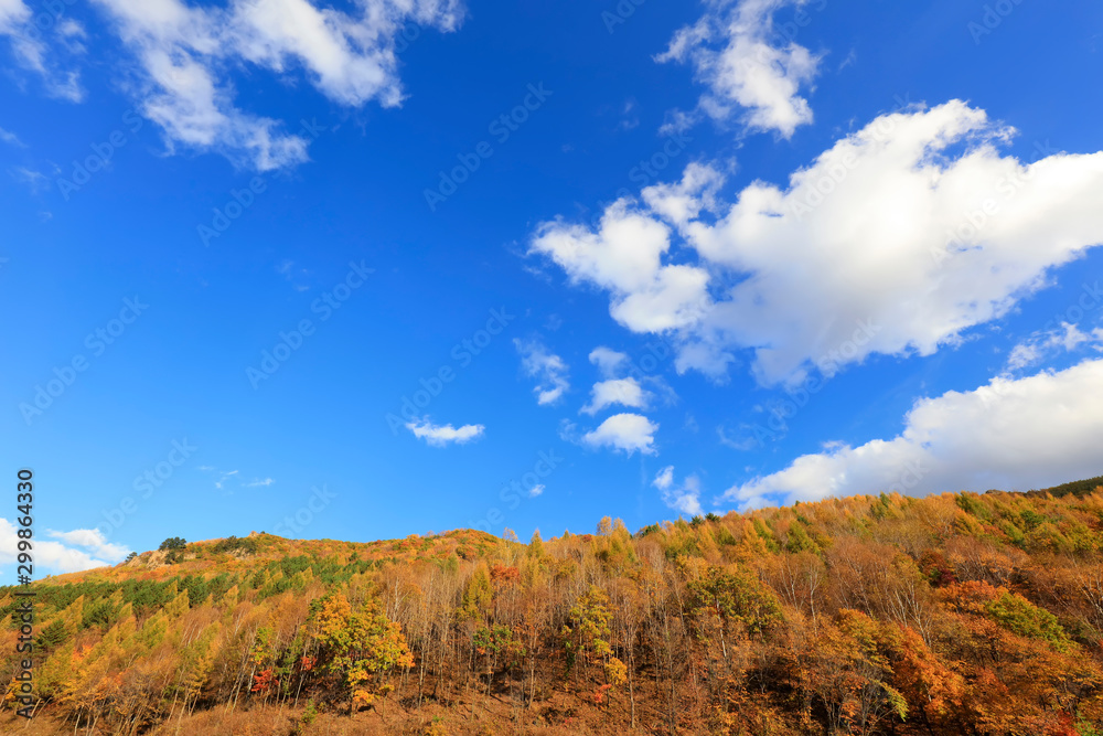 Mountain under blue sky