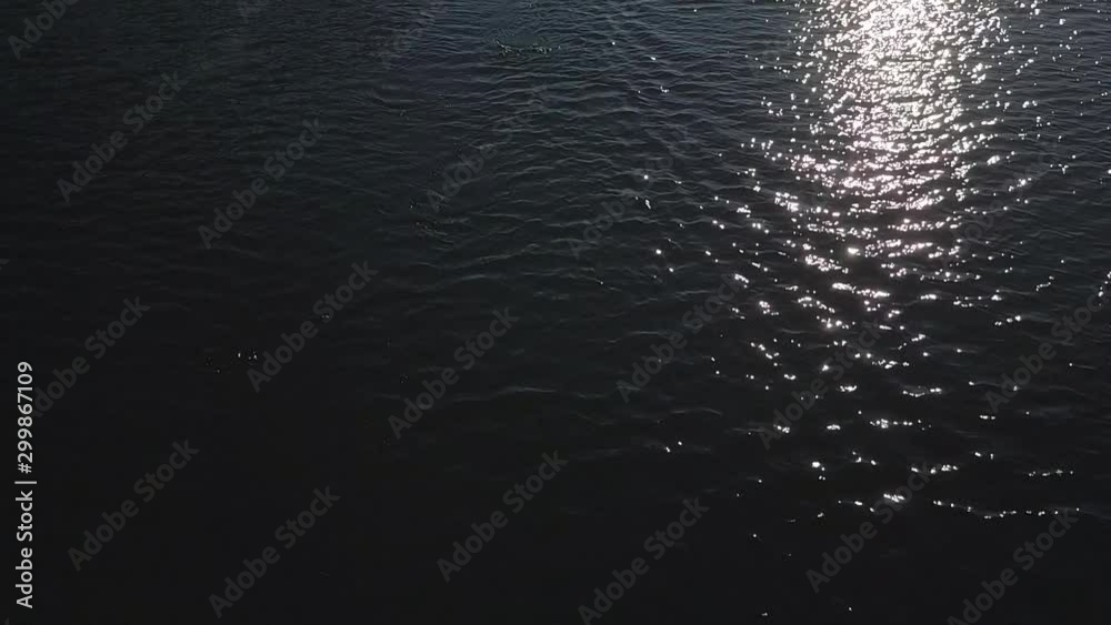 Tilting up Aerial shot of man exploring rocky summer archipelago, in Finland, slow motion Tilting up Aerial shot of man exploring rocky summer archipelago, in Finland, slow motion