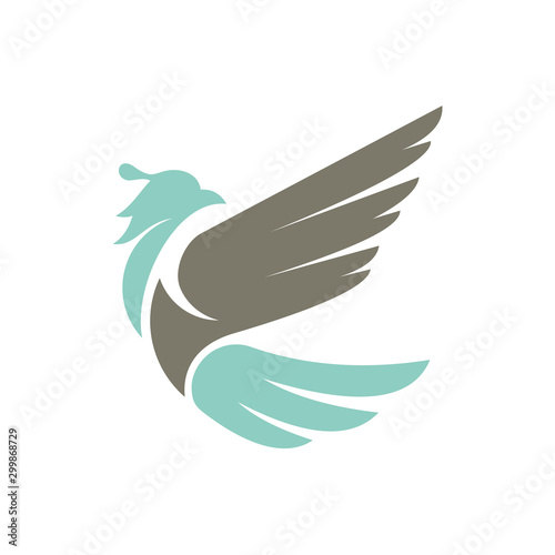 Modern phoenix bird vector logo template. Falcon, eagle, dove, bird symbol