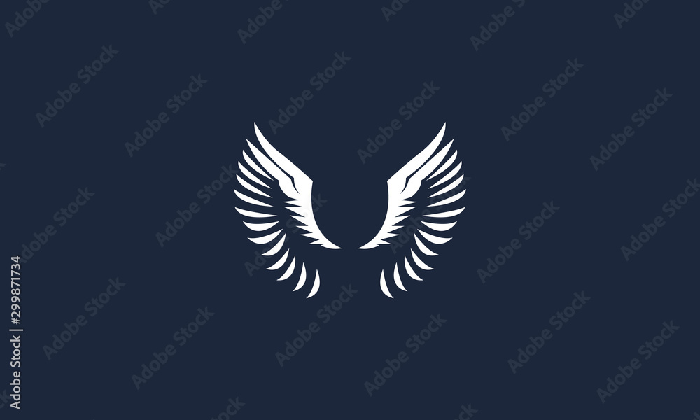 Obraz premium wings vector logo design inspirations