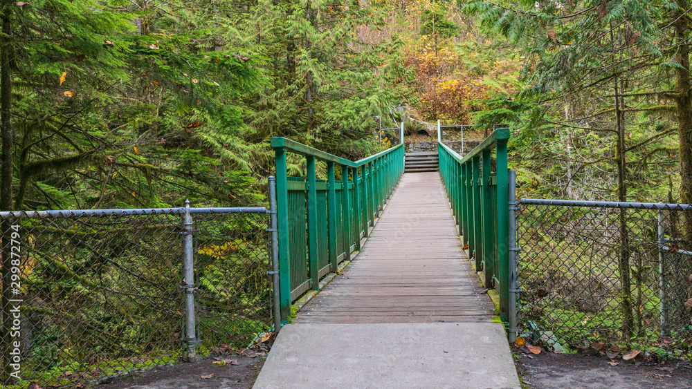 Obraz premium Footbridge on trail to Capilano Fish Hatchery