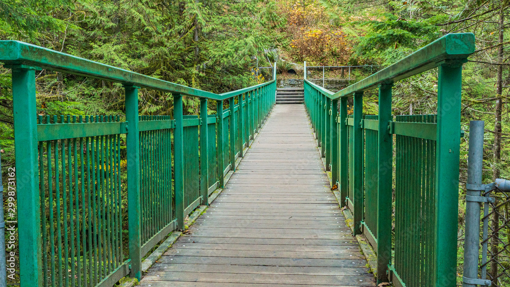 Coho Loop trail to Capilano fish hatchery and Cleveland Dam viewpoint
