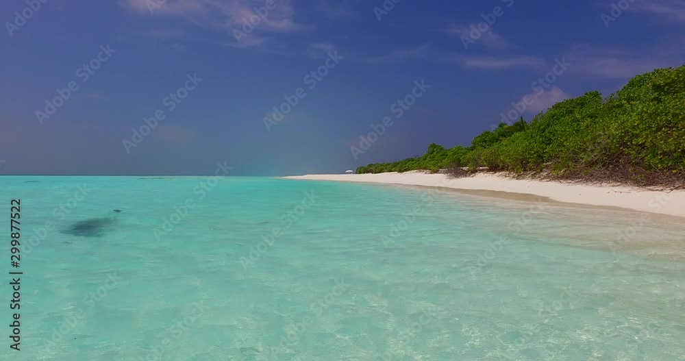 Baby dolphin swimming dangerously close to the shore in the waters of tropical island Baby dolphin swimming dangerously close to the shore in the waters of tropical island