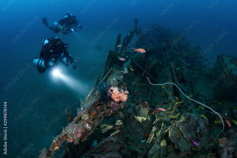 Fototapeta premium Tech diver