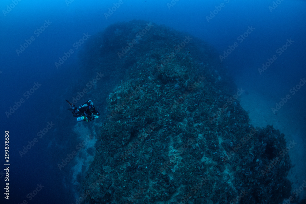 Obraz premium Tech diver