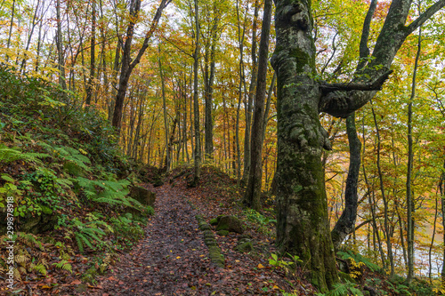 Towada Hachimantai National Park in autumn