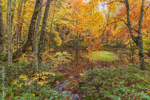 Towada Hachimantai National Park in autumn