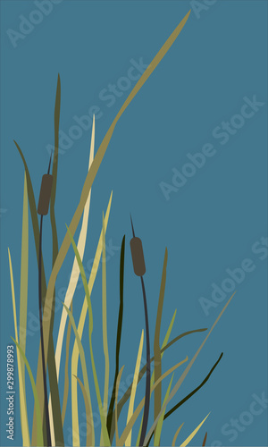 Bush of Swamp Reed on a Lake