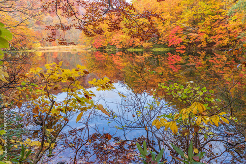 Towada Hachimantai National Park in autumn