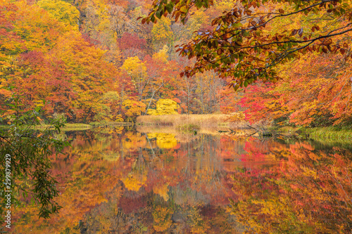 Fototapeta Naklejka Na Ścianę i Meble -  Towada Hachimantai National Park in autumn