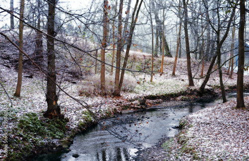 First snow in the park