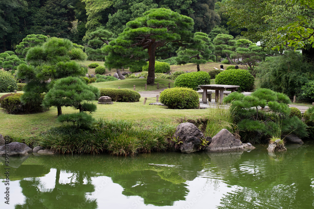 japanese garden in summer