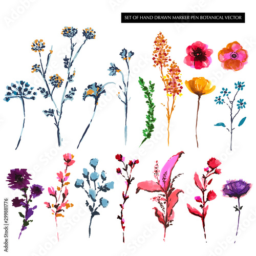 Set of Colorful hand drawn botanical flower from marker pen sketch in vector EPS 10
