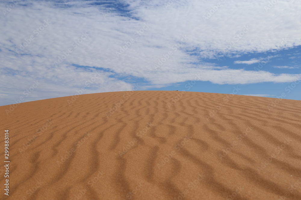 sand dunes in the desert sand dunes in the desert