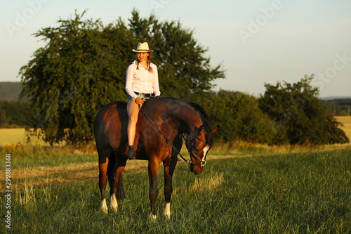 Portrait of young lady on chestnut horse on late summer afternoon