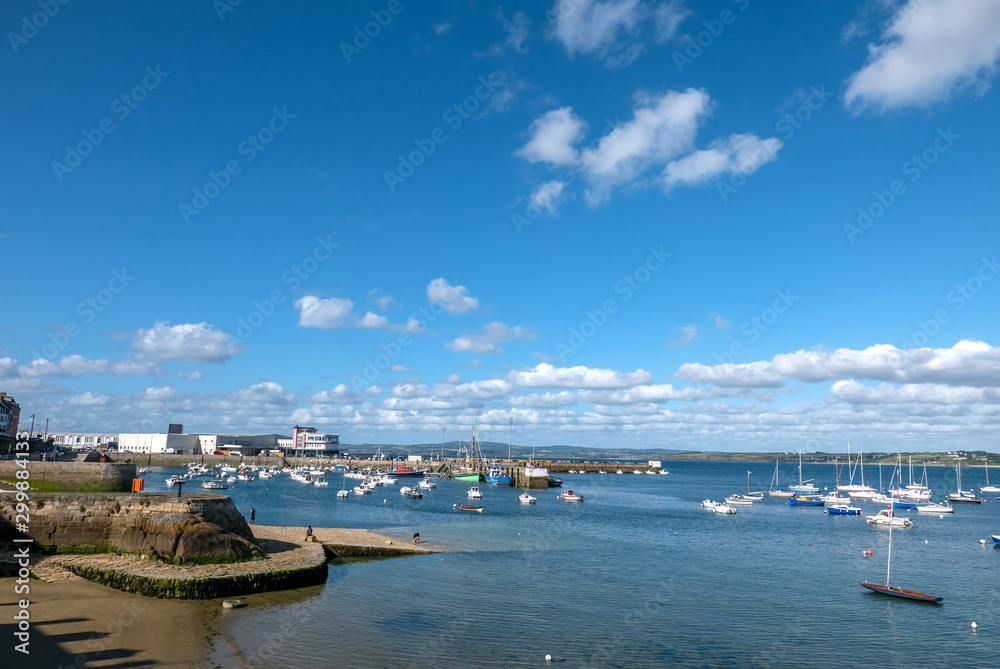 Fototapeta premium paysage de camargues