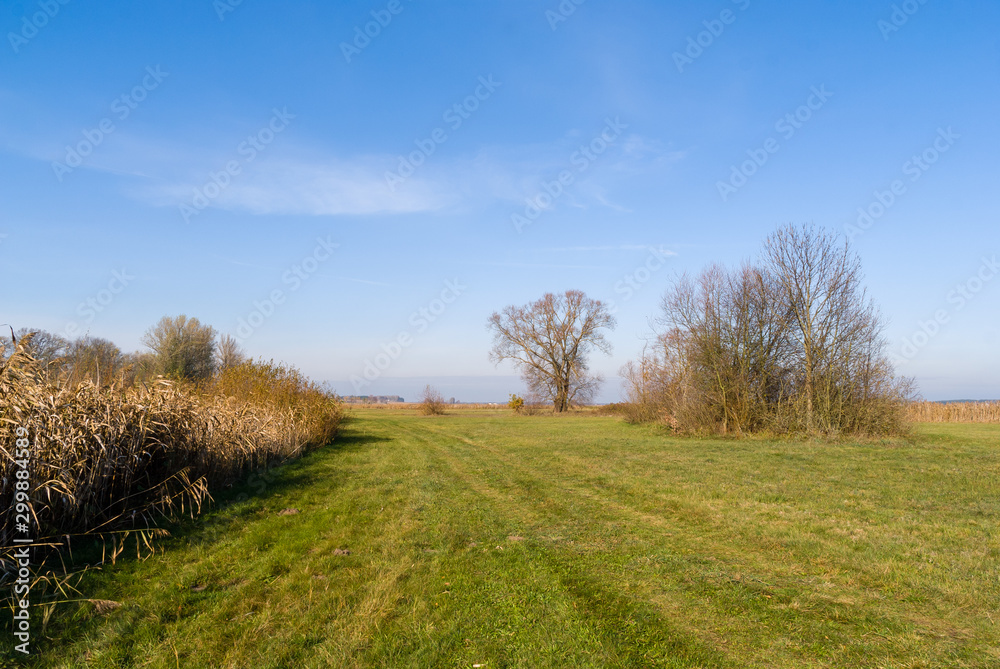 Dolina rzeki Narew i Supraśl w okolicy Złotorii, Podlasie, Polska