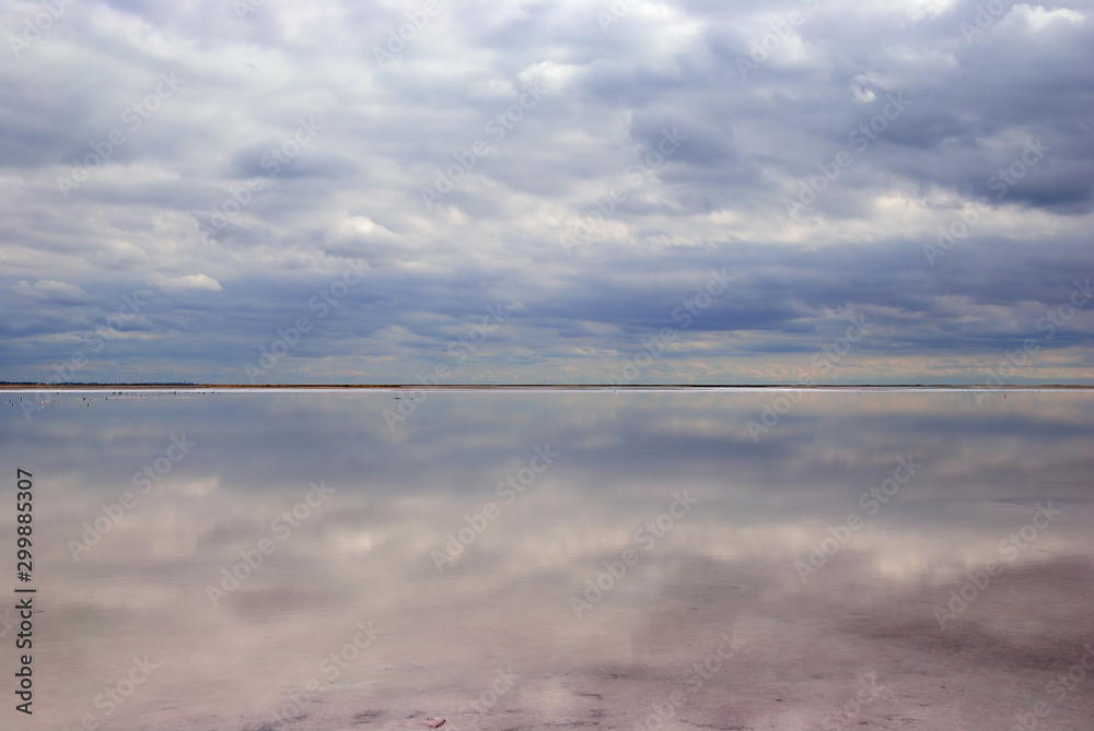Hydrochloric birches Azov Sea
