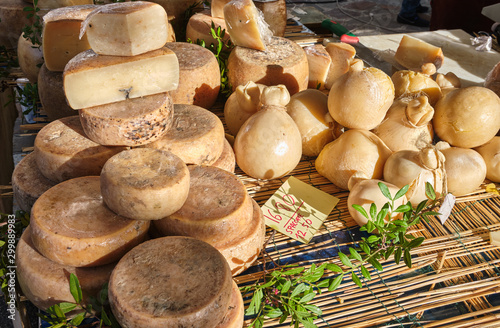 Casu Marzu, traditional sardinian cheese with worms