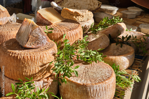 Casu Marzu, traditional sardinian cheese with worms photo