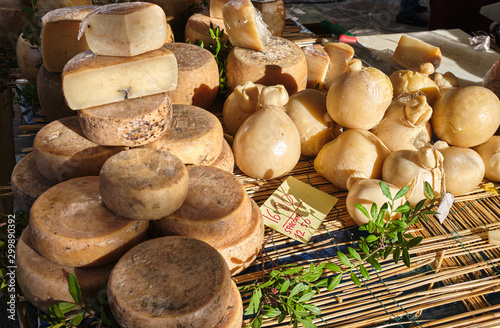 Casu Marzu, traditional sardinian cheese with worms photo