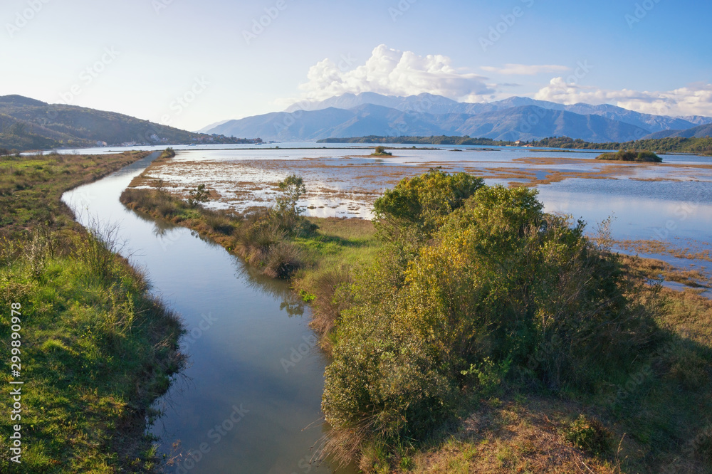 Beautiful wetland landscape. Montenegro, Tivat. View of Tivat Salina  ( Tivatska Solila ) - special botanical and animal reserve