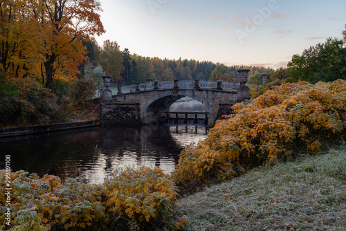 Fototapeta Naklejka Na Ścianę i Meble -  Slavyanka river in Pavlovsk Park frosty autumn morning. Pavlovsk, Saint Petersburg, Russia