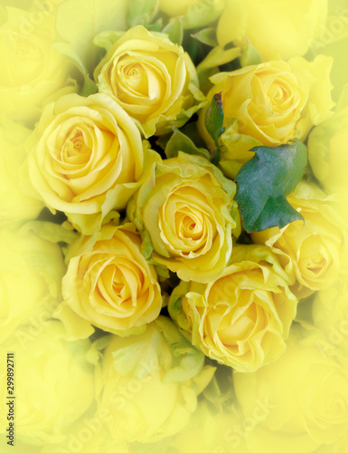 colorful yellow roses bouquet top view, soft and airy natural background