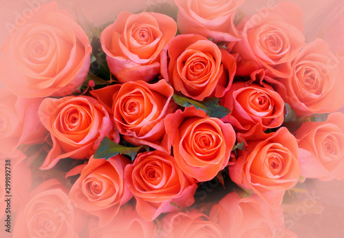 colorful orange roses bouquet top view  soft and airy natural background