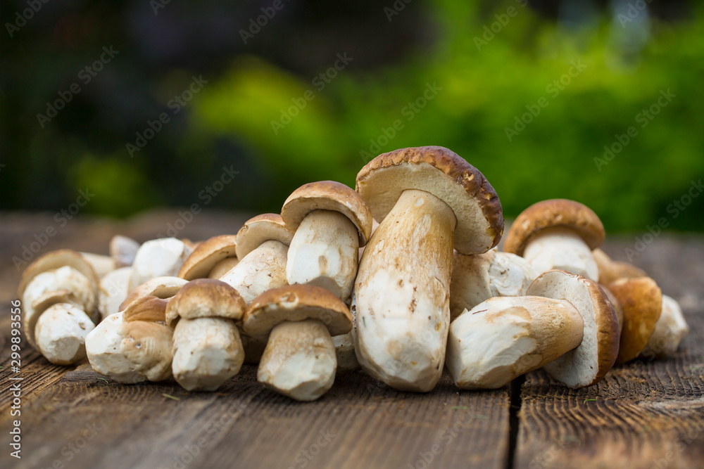 Mushroom Boletus over Wooden Background. Autumn Cep Mushrooms. Ceps Boletus edulis over Wooden Background, close up on wood rustic table. Gourmet food