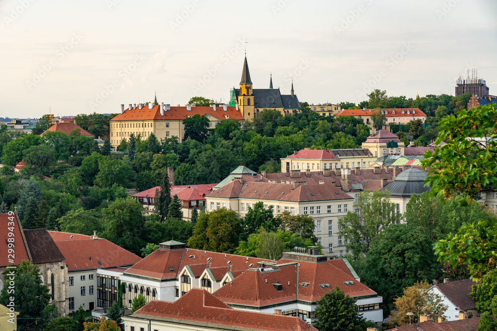 Aerial view of Prague Czech Republic from Vysehrad.