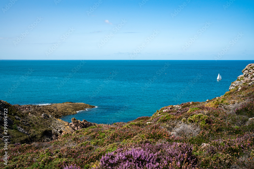 beach and bay with lilac heath meadow on the wild coast of Brittany